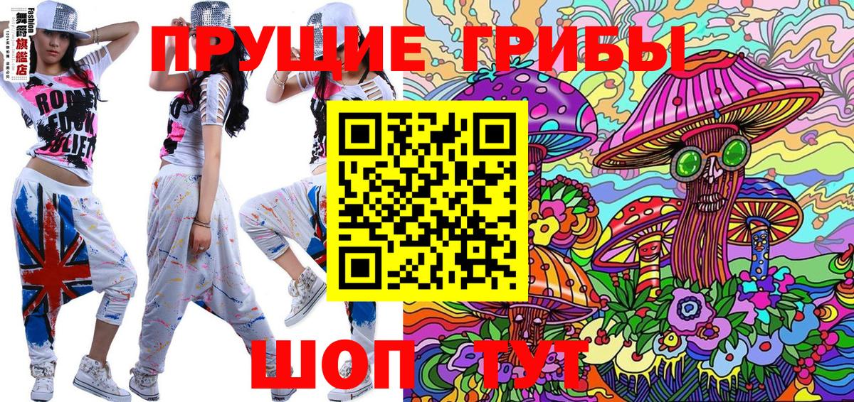Псилоцибиновые грибы Cubensis Назарово